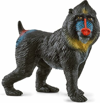 schleich WILD LIFE - Mandril - Speelfiguur - Kinderspeelgoed voor Jongens en Meisjes - 3 tot 8 jaar - 14856