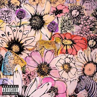 Maroon 5 - Jordi (LP) (Coloured Vinyl) (Limited Edition)