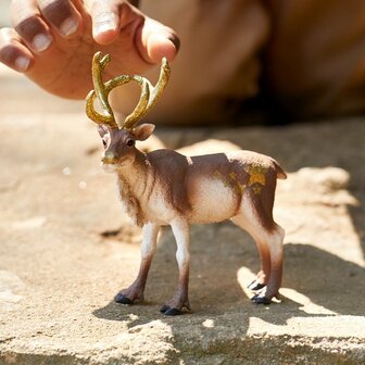 schleich WILD LIFE - Rendier - Speelfiguur - Kinderspeelgoed voor Jongens en Meisjes - 3 tot 8 jaar - 14837