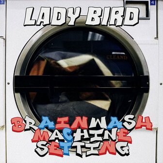 Brainwash Machine Settings