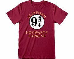 Harry Potter Hogwarts Express T-shirt heren