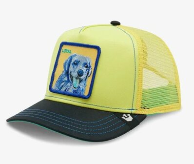 Goorin Bros. Doggy Trip Yellow Trucker - Goorin Bros.