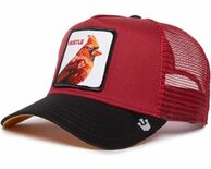 Goorin Bros - THE HUSTLE BIRD - cap