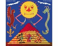 Guerilla Toss - Flood Dosed