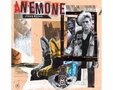 Anemone - Silver Star (Coloured Vinyl)