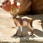 Schleich WILD LIFE - Rendier (14837)